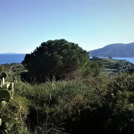 Gavila's Residenza Turistico Alberghiera 3*