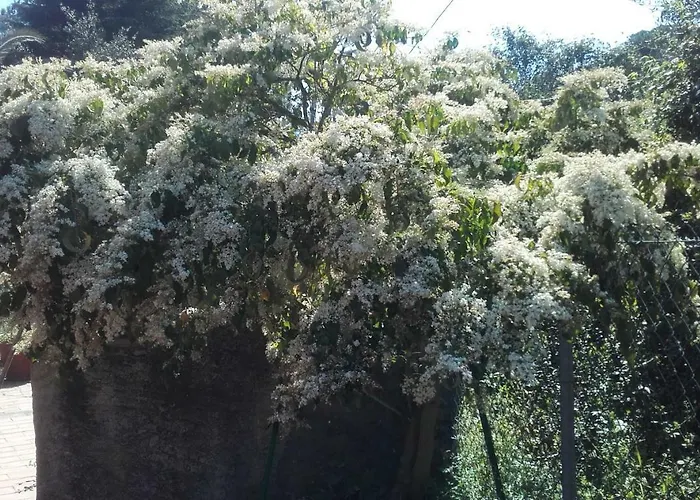 Gavila's Residenza Turistico Alberghiera Aparthotel